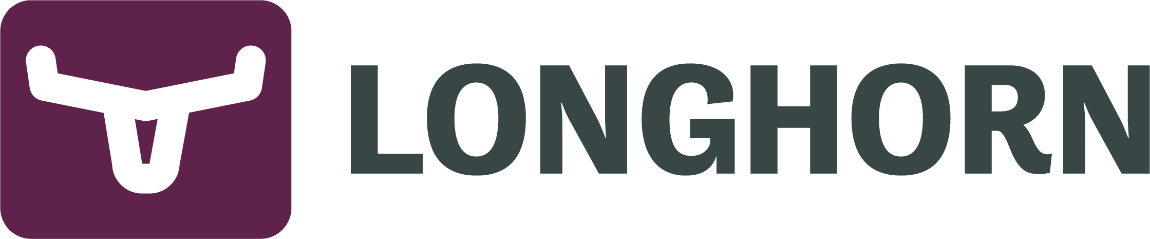 Longhorn navbar logo
